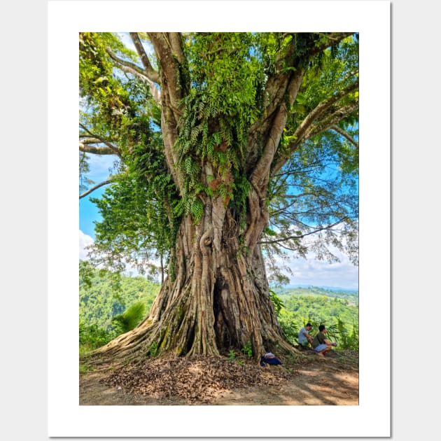 Beautiful Old Balete Tree, Philippines Wall Art by Upbeat Traveler